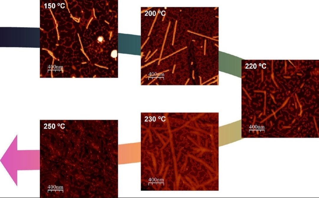 What a better moment than in the middle of  heat wave 🔥🌊 to have our last work published 😅.
How heat-resistant is a virus? 👾
We tested the tobacco mosaic virus (TMV) in air from room temp up to 250 °C using atomic force microscopy. Spoiler: it’s impressively tough. 🔥1/3