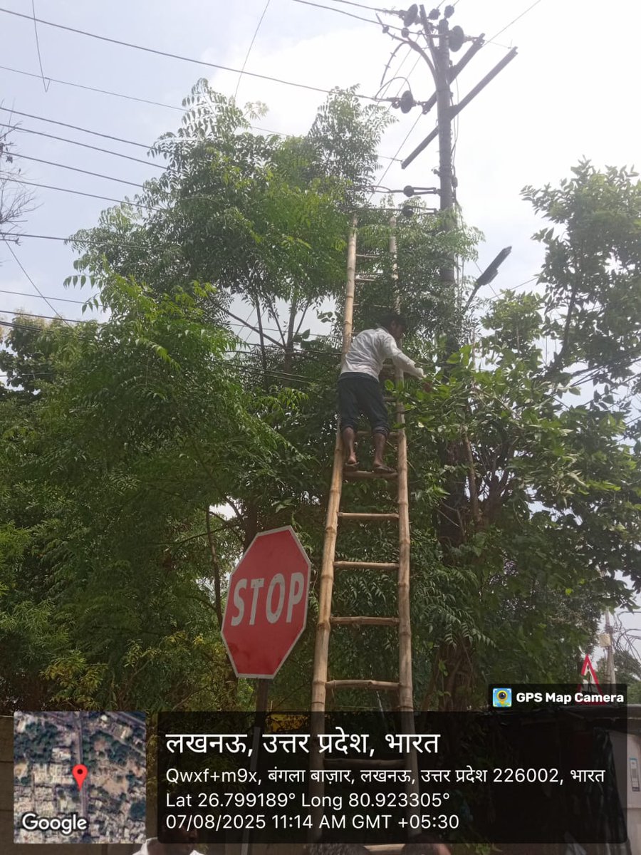 seeudc7's tweet photo. Tree cutting at sec-j Bangla bazar under EUDC Vrindavan amausi zone Lucknow on dt 07.08.2025
@aksharmaBharat 
@CMOfficeUP 
@MVVNLHQ 
@MVVNLmd 
@UPPCLLKO 
@ZoneAmausi https://t.co/AIWH5czlMH