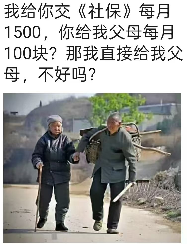 范士贵8964荷兰难民 tweet media