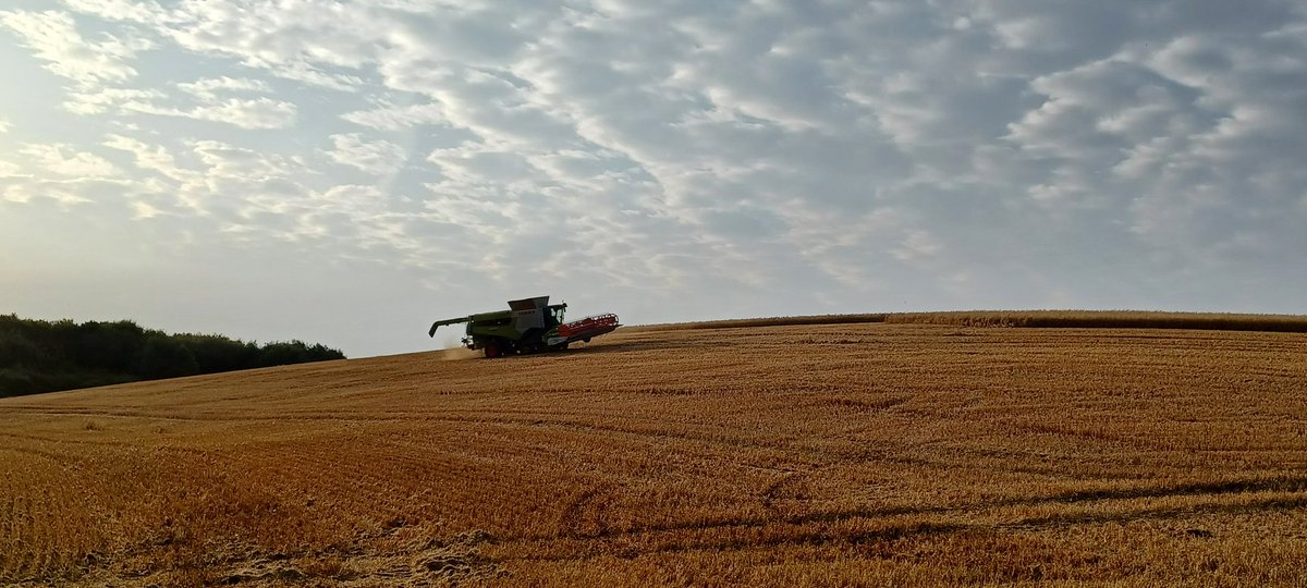 To all farmers working hard to get the harvest in so the general public have food on the plate - have a good day and be safe <a href="/farmday/">Farm Day</a> #Farm24 #harvest25
