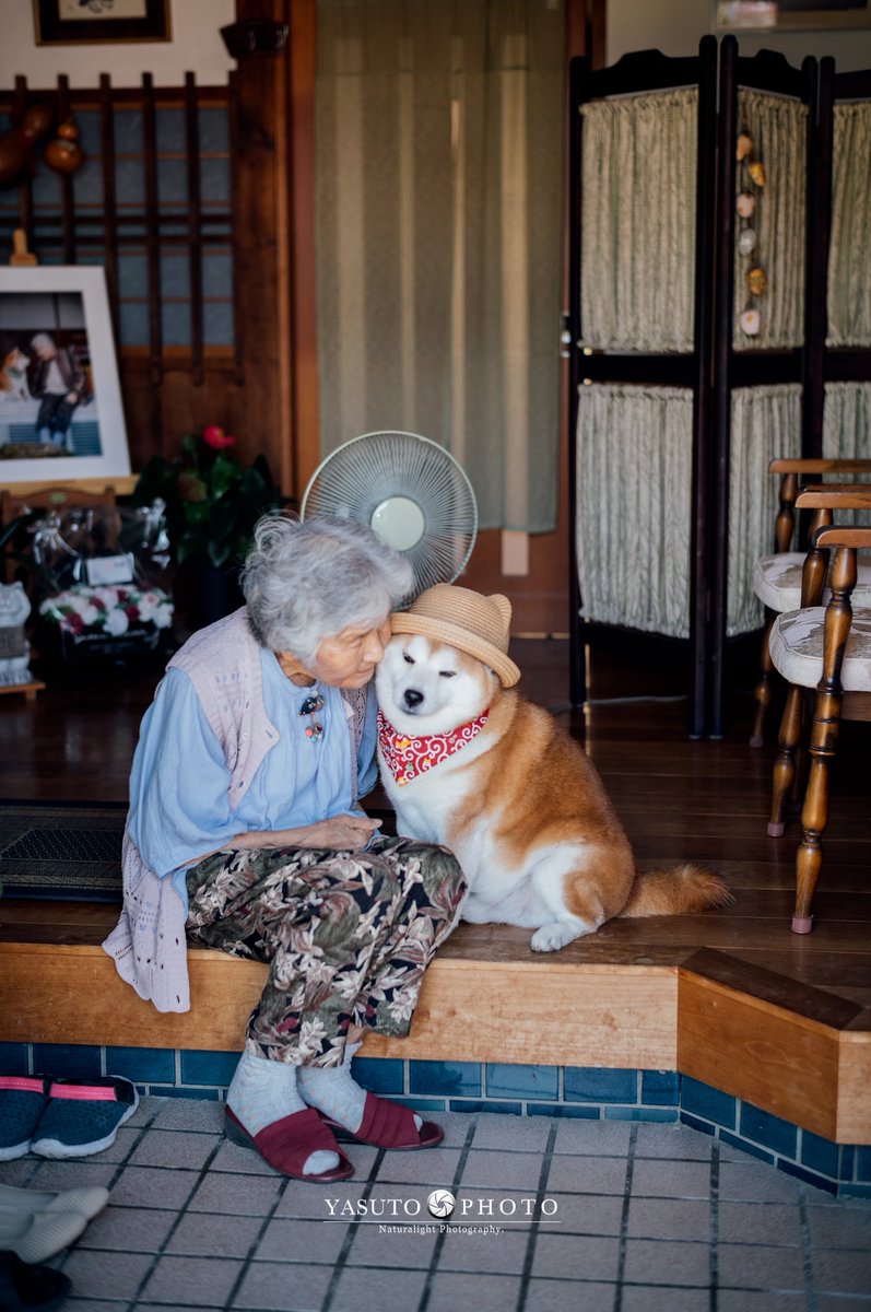 なんて言っていいのかわからない🥹🐶