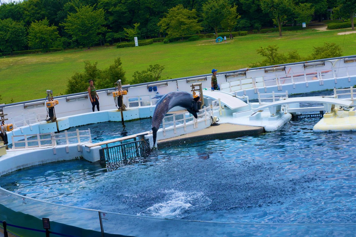 京都水族館②

イルカ🐬

α7CⅡ + FE 24-70mm F2.8 GM II

#ちいかわ
#ちいかわ旅
#うさぎ
#ちいかわ好きな人と繋がりたい 
#α7CII 
#SEL2470GM2
#GMレンズ
#これソニーで撮りました
#カメラ好きな人と繋がりたい
#写真好きな人と繋がりたい
