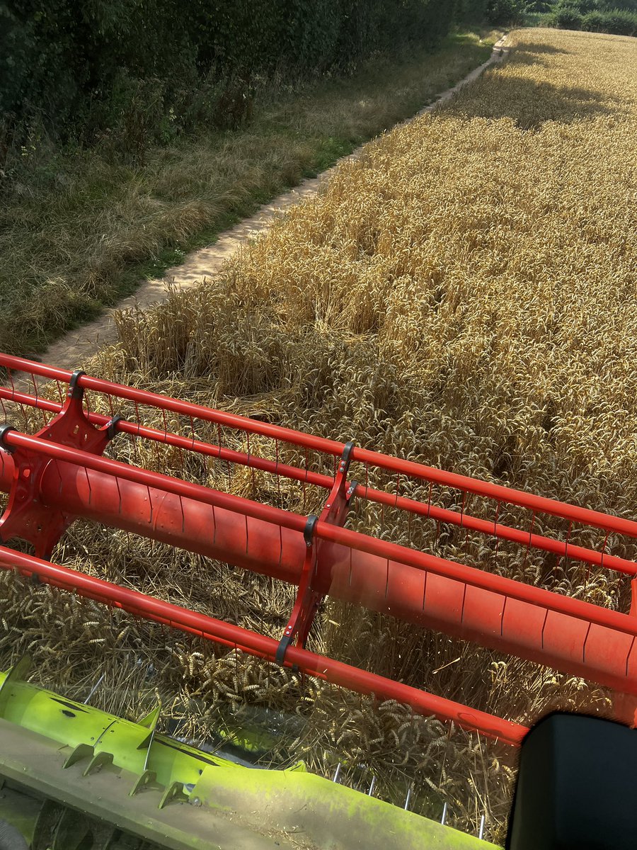 Richard Payne tweet media