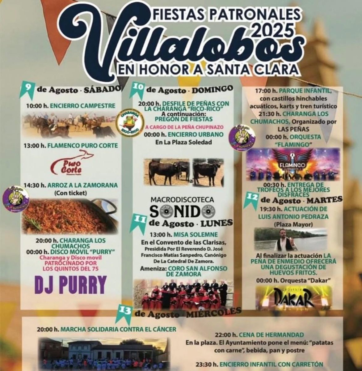 Entra en operación la primera termoeléctrica a base de cascarilla de arroz  en Colombia, image size:1172x1200