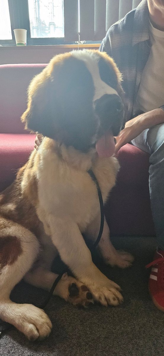 Jim Deeds tweet media