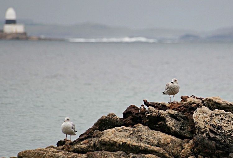 WeLoveDonegal tweet media