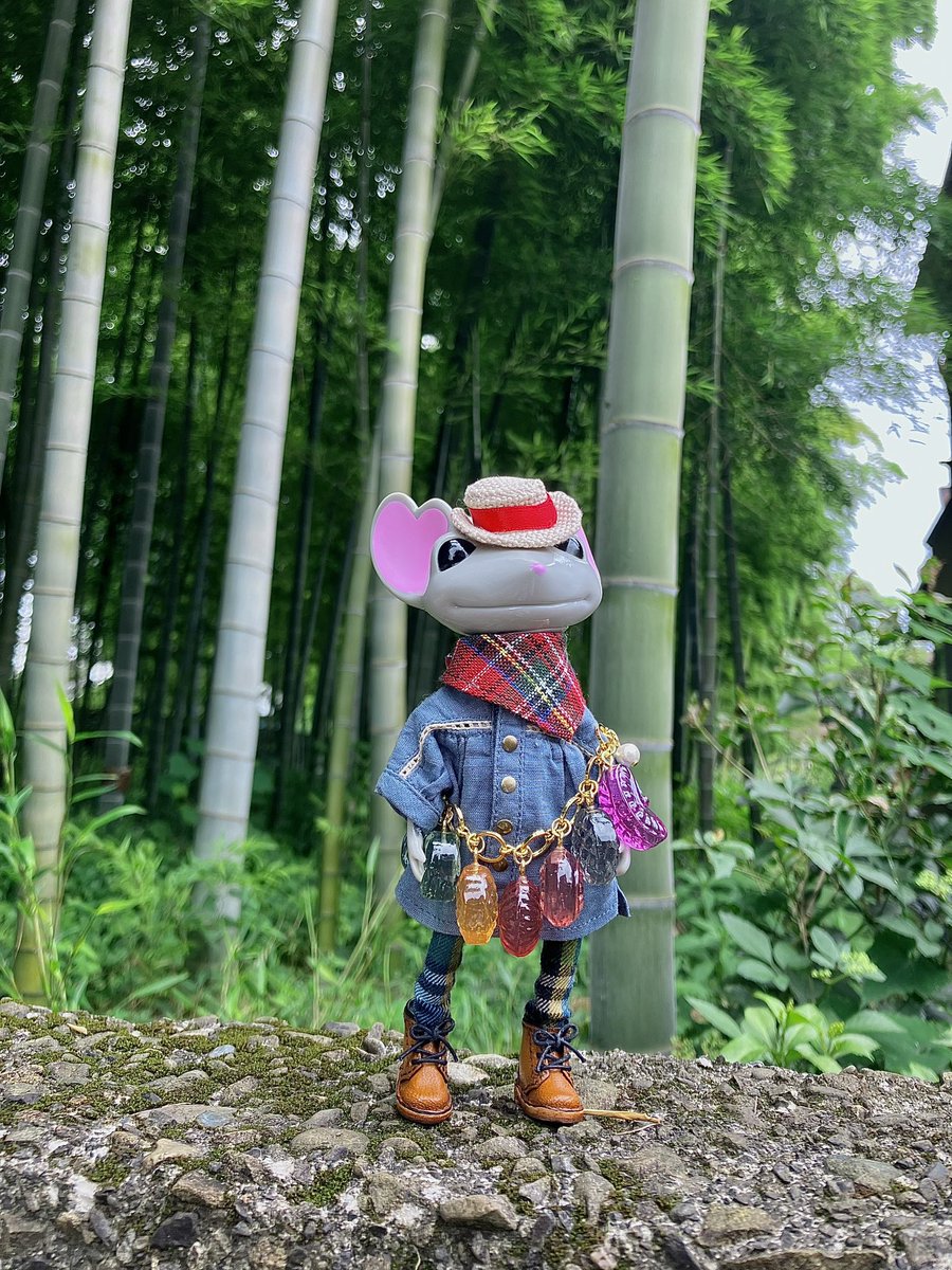 ワンダーフロッグ - Search / X