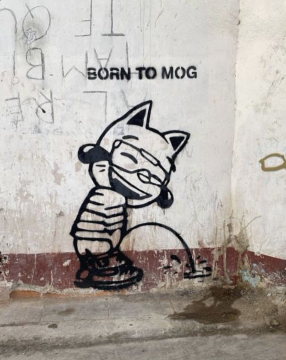 MogTheStreets 🫵😹 tweet media