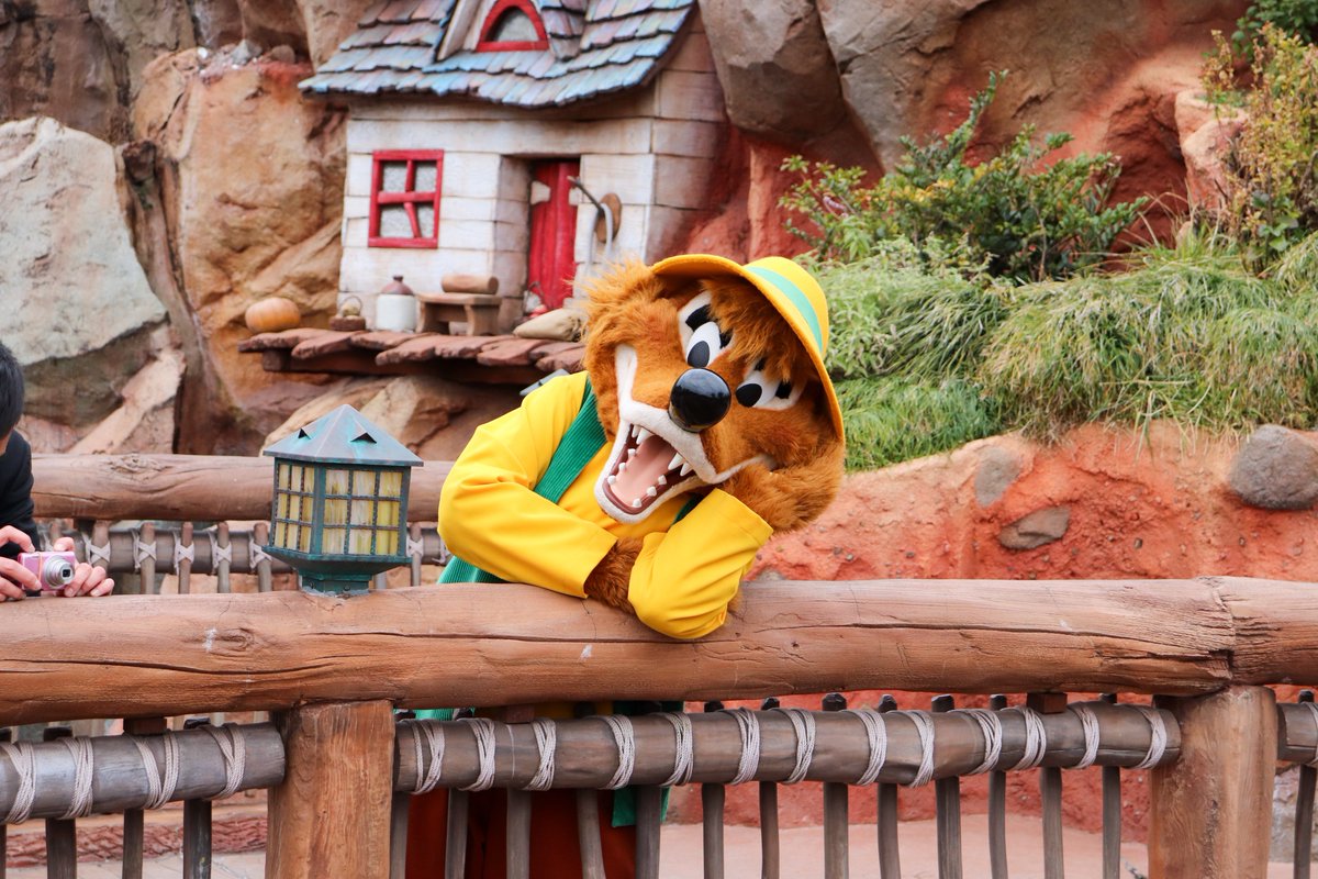 LucaRobin_L_E's tweet image. かわいいだけじゃダメですか？#brerfox