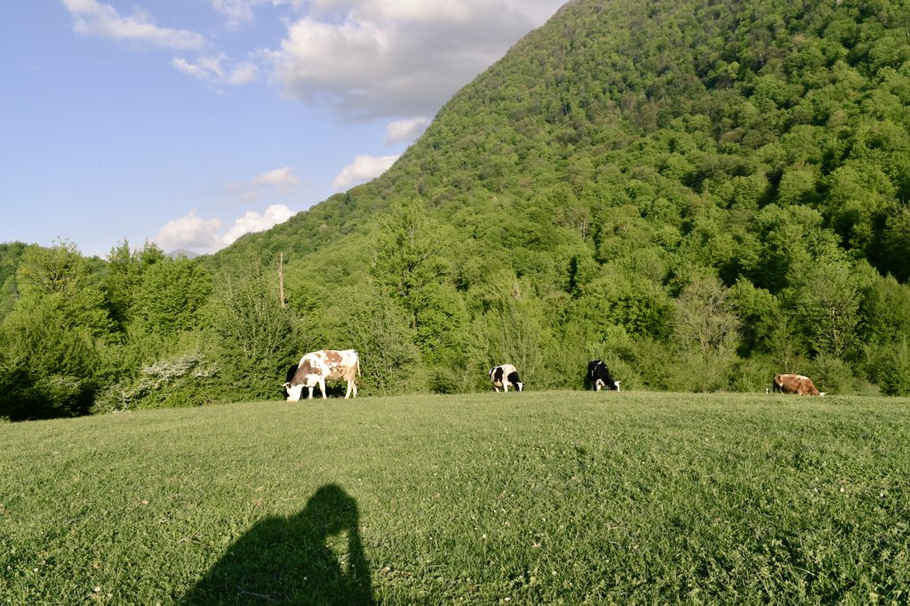 فردا صبح میرم اینجا کسی نمیاد...
I'm going there tomorrow morning, but no one's coming...