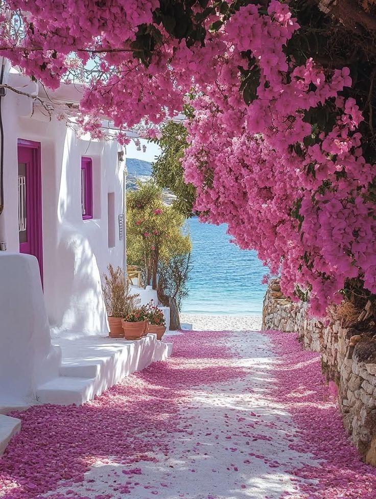 تو شبیه کوچه هایی هستی که به دریا میرسه...
همینقدر زیبا