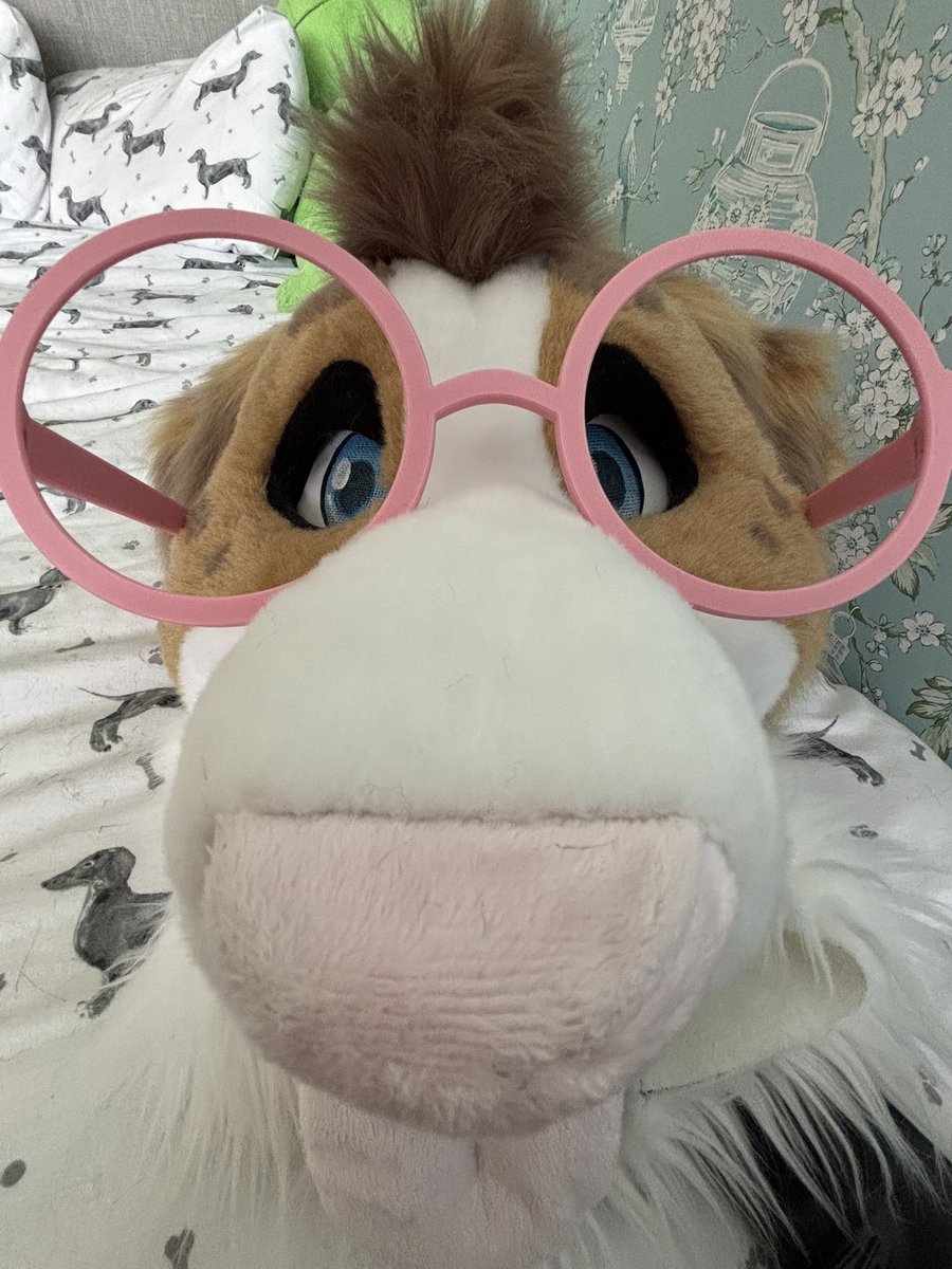 👁️👃🏻👁️
      👅