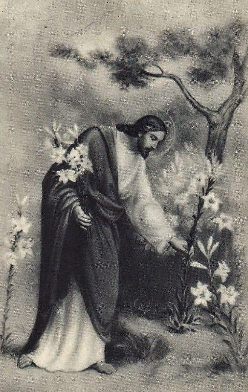The Master Gardener is willing to cultivate in your soul a beautiful garden, if only you will let Him.