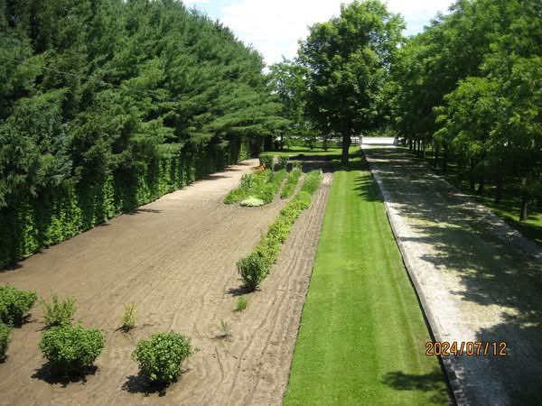 More tree 🌲 maintenance