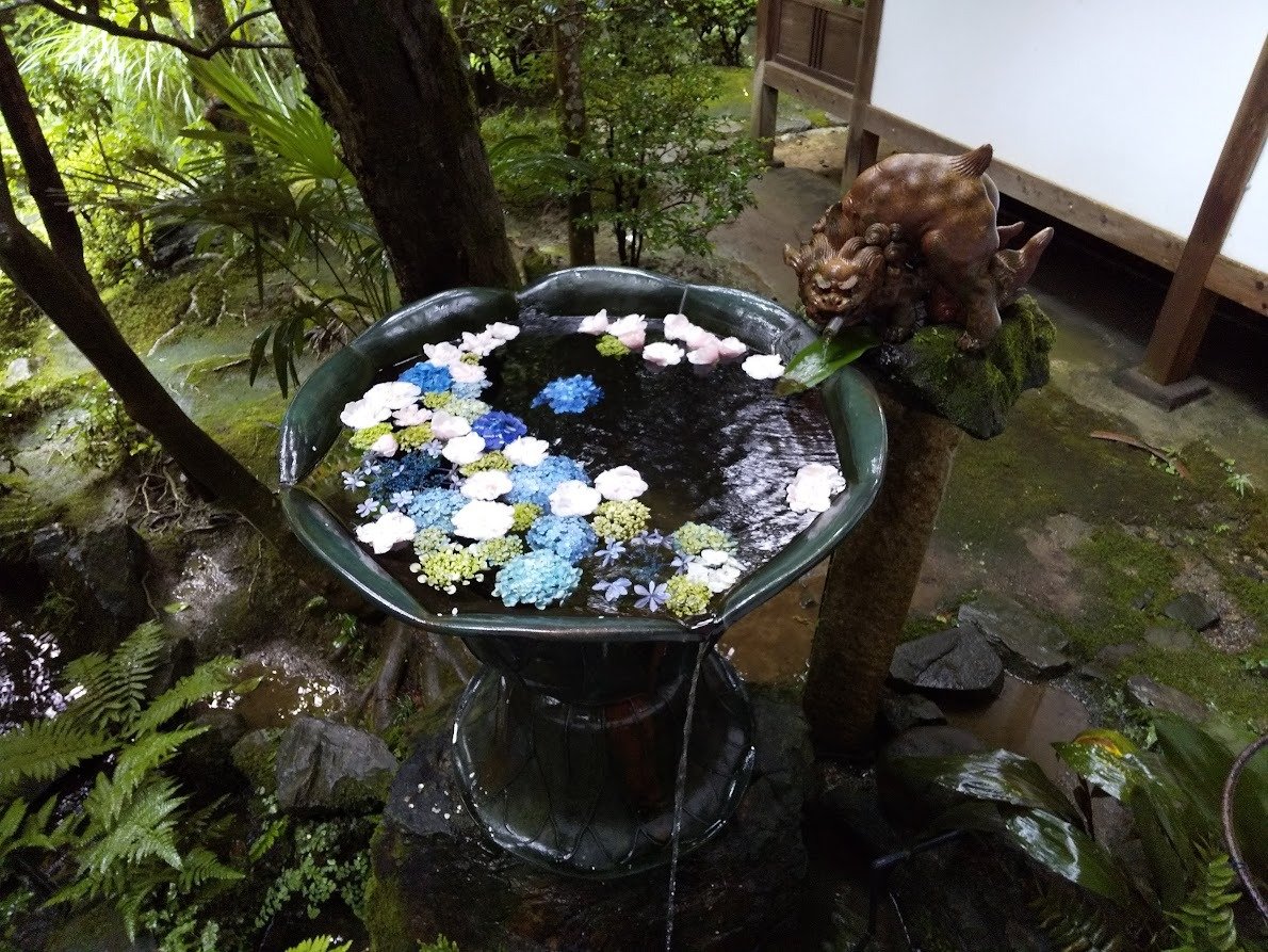 uikohasegawa's tweet image. 今日は急逝した裕也くんの告別式でした。同い年だった裕也くんが逝ってしまったなんて、まだ信じられません。一緒に国際会議にも行ったし、ついこの間は選挙の応援にも来てくれたのに。またイベントに「久しぶり」と、ひょこっと顔を出してくれそうな気がしてなりません。ご冥福をお祈りします。…