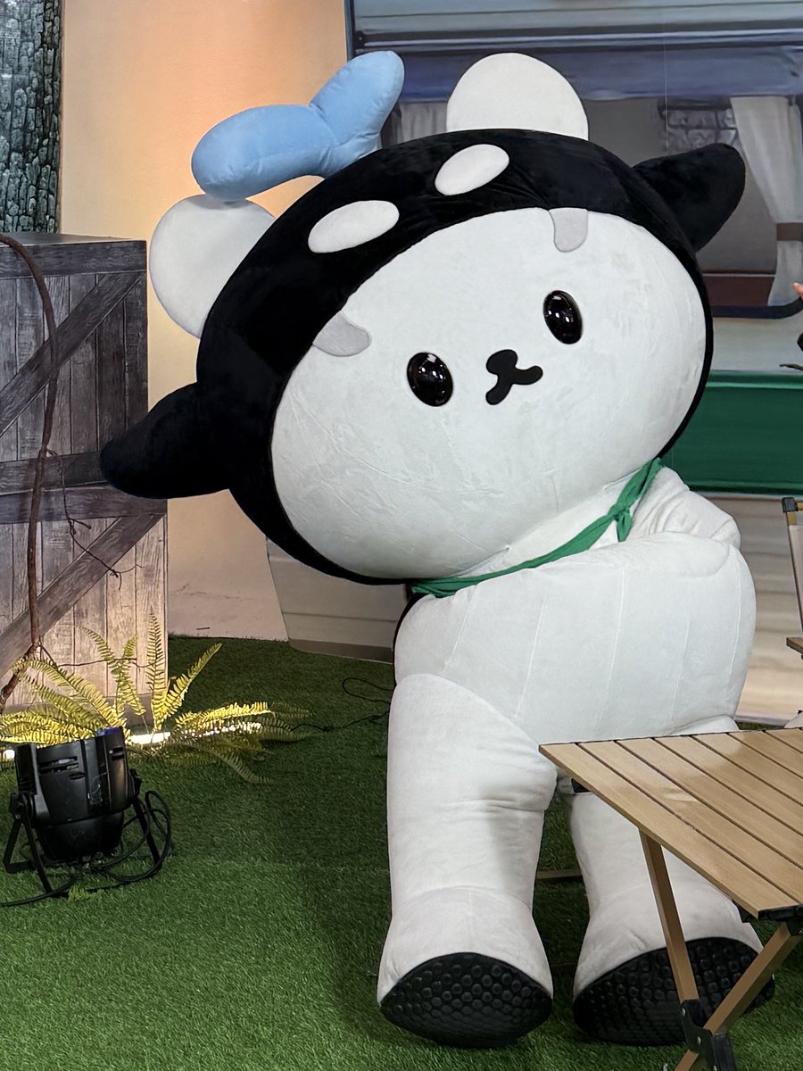 จ๊ะเอ๋😭🤏🏻

GRABFOOD TAYNEW POLCASAN
#GrabFoodHotDealsxเตนิวซัง