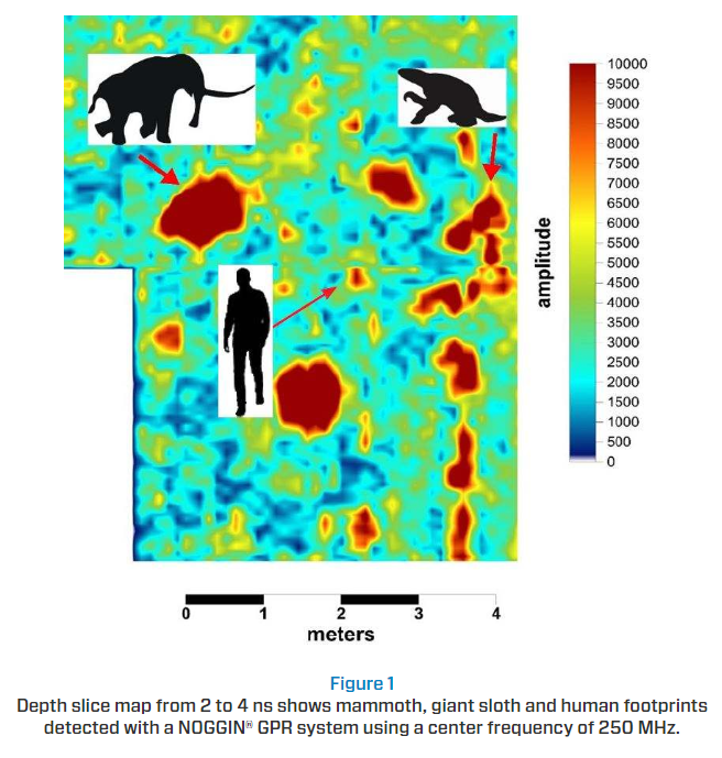 SensorsSoftware's tweet image. Thanks to new research using ground penetrating radar, we can now see footprints that tell a story of life long gone in White Sands National Monument! 👉 Dive into the findings by T. M. Urban et al.

sensoft.ca/blog/gpr-detec…