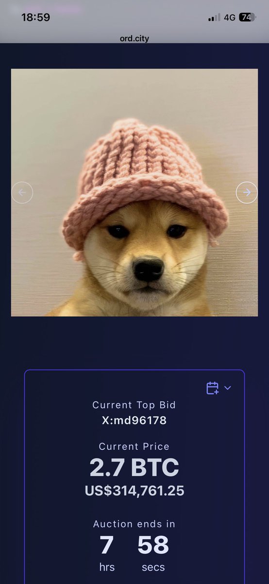 ShinoTaur's tweet photo. It fucking crazy $wifout
This Hat is bidding $250k
https://t.co/HAVRAEpZQY https://t.co/leOL3cvr2v