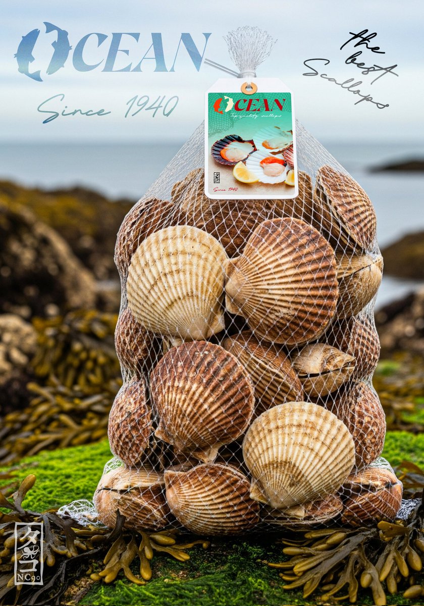 OCEAN 
Questa volta abbiamo progettato per un nuovo prodotto ittico le CAPESANTE 🥹🤤🌊🍽🦪🐚💯

Mockup e Background generati con le Ai

Editing impaginazione etichetta + Brand Identity realizzate con <a href="/Photoshop/">Adobe Photoshop</a>

#GraphicDesign #brandidentity #scallops #logoidentity #Ocean