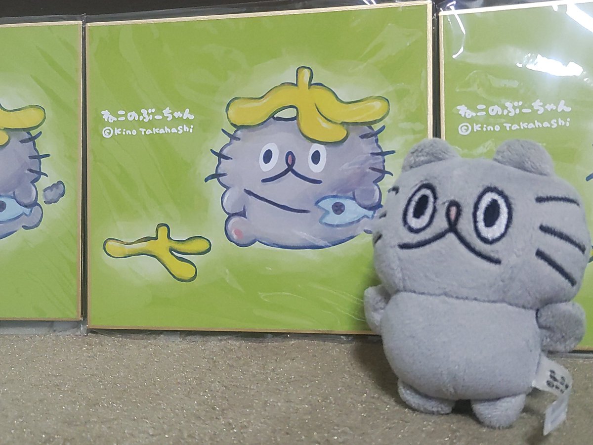 高橋きの 🐟ねこのぶーちゃん♨️ぶ〜の湯ありがとうご