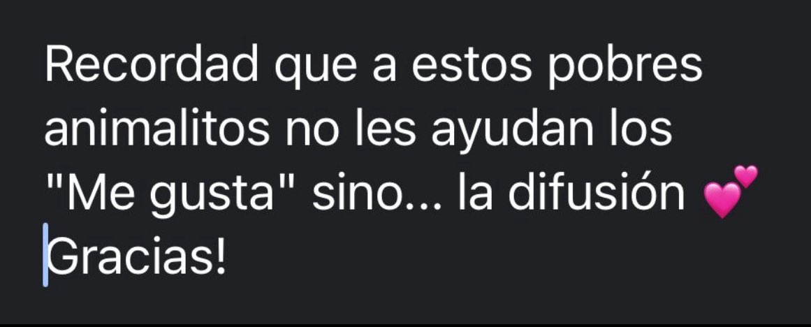 POR FAVOR, difusión para Trogir, un ejemplo de perrito que, a pesar de todo, mantiene un gran corazón con los humanos que tanto daño le hicieron 🙏🏻👇🏻
@erta2017 @solopar53137293 @vidassos
<a href="/PandoraThalassa/">Pandora 🌱🐥🐼🐱</a> <a href="/penelope57/">Penelope57</a> <a href="/apaosanctuary/">Apaosanctuary</a> @olga03471239 <a href="/eugenia2068/">Eugenia</a> <a href="/blauigrana12/">Xavi Kastro</a>