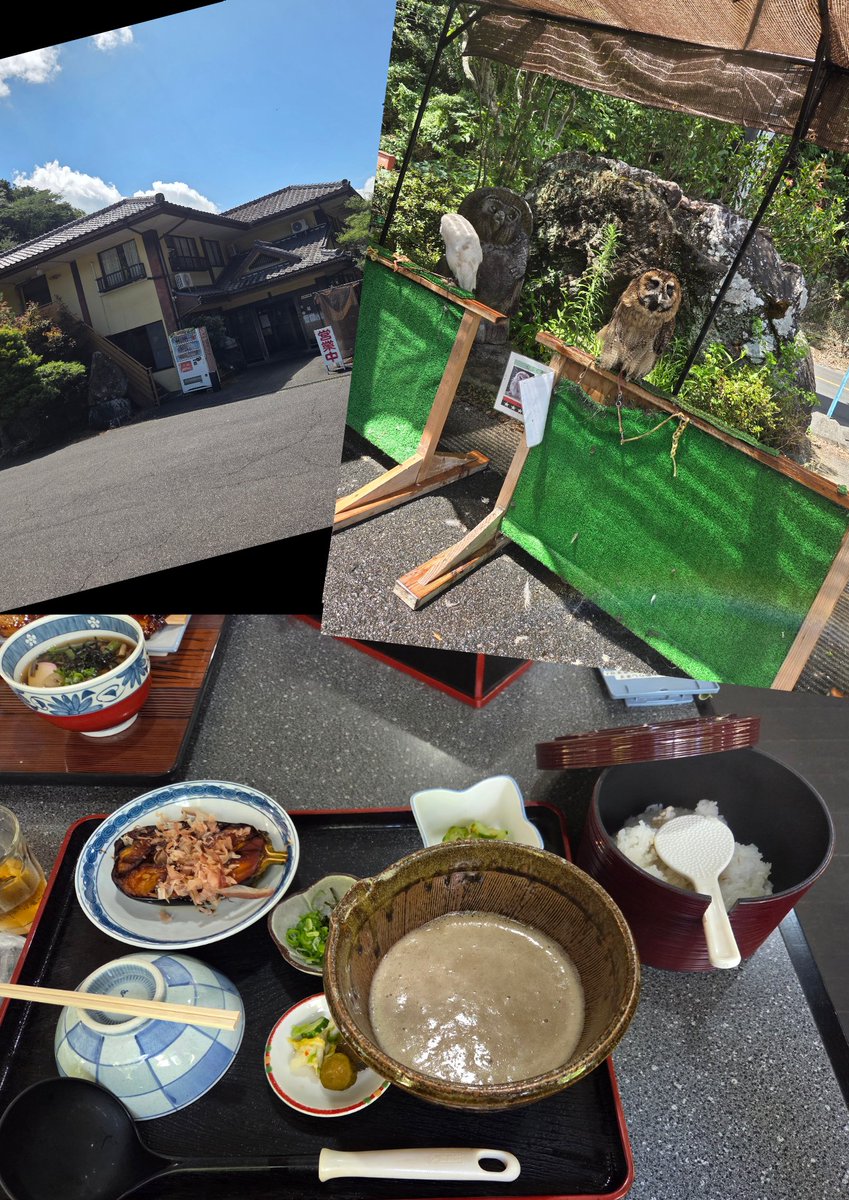 とある避暑地なリザーバー⛰️🌳
随分釣具も魚も触っていなかったのでエンジョイバスで腰の引けたへなちょこフッキング炸裂🎣

 #ダムのブクブクは恐怖
 #ダムカレーも食べればよかった