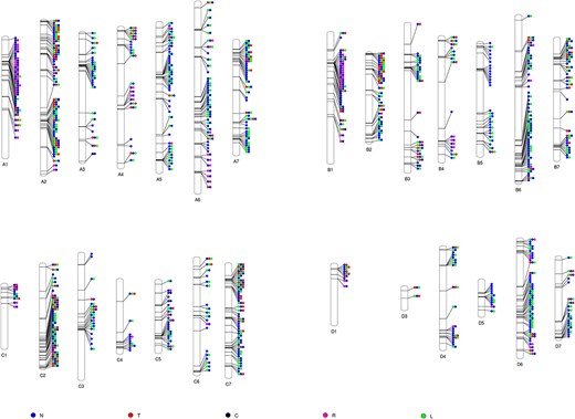 Hortres's tweet image. First tetraploid blackberry genome unveiled, aiding trait improvement! #BlackberryGenome @OxfordJournals 
Details: doi.org/10.1093/hr/uha…