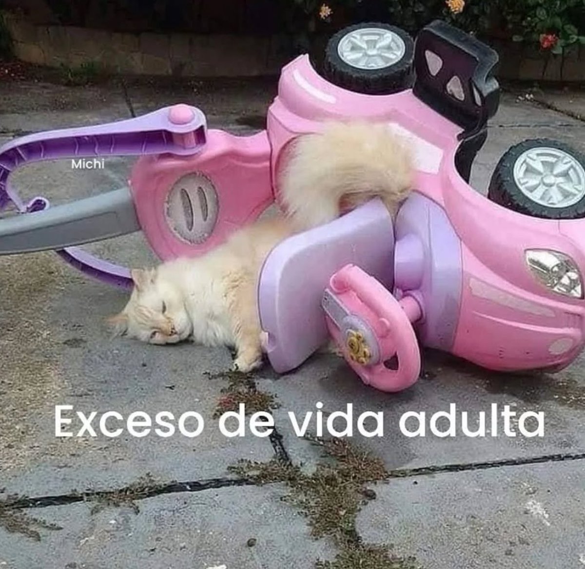 skereunpesado's tweet image. 