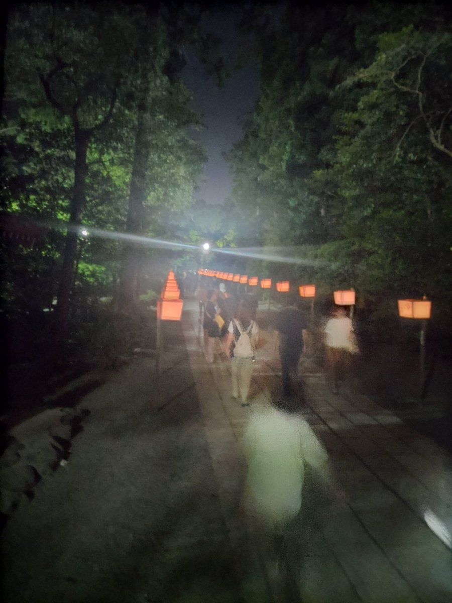 doorglee's tweet photo. 誕生日にぼんぼり祭り https://t.co/LjSeZBrKX8