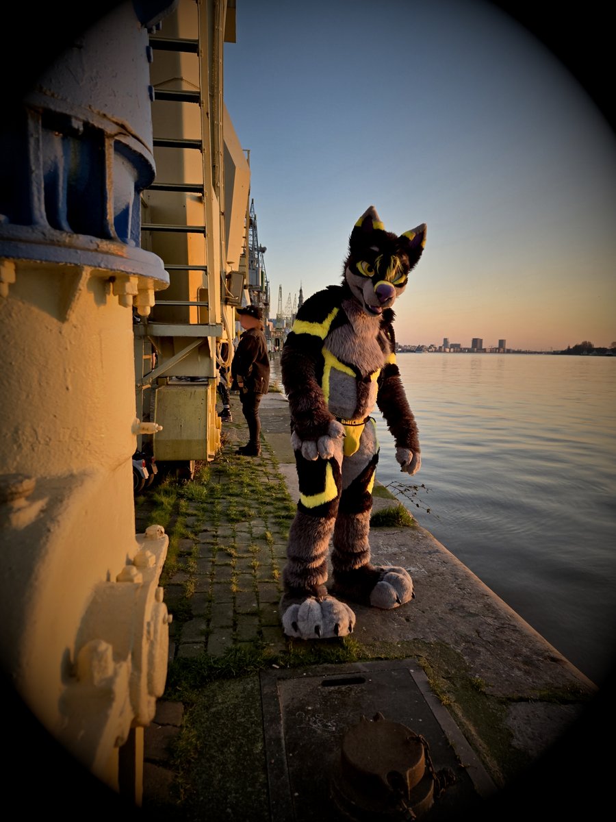 Wolf spotted you 👀

You caught his attention.

If trouble had a flirty gaze, this would be it.

📷: <a href="/ByronWolf20/">Byron Wolf 🇪🇸</a> at Darklands