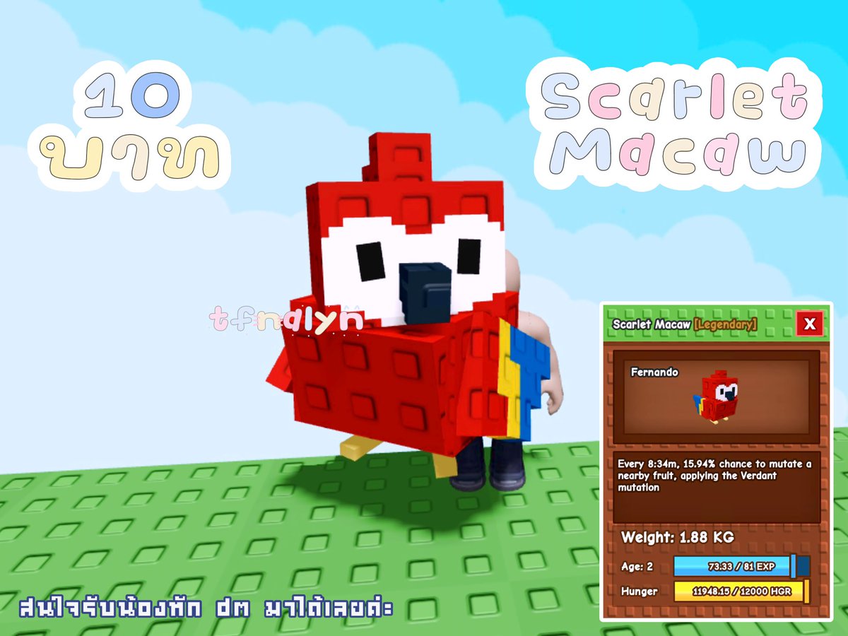 tfnalyn's tweet photo. .   ♪ྀི   ˚  scarlet macaw ˚ 🍎  .

             price :   10 bath

𓈒 ࣪  ⋆ สนใจ dm สอบถามได้เลยค่ะ 𓈒 ࣪  ⋆

 #growagardenซื้อขาย #growagardenth https://t.co/ZF1UQlEwGH