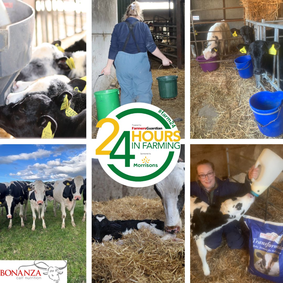 Today we celebrate #FARM24 🐄

From sunrise to sunset, farmers graft hard to feed us all.
💚 Thank you for your dedication, resilience &amp; care.

#FARM24 #farmersguardian #Morrisons #ThankAFarmer #FarmLife #FoodHeroes #SupportFarmers