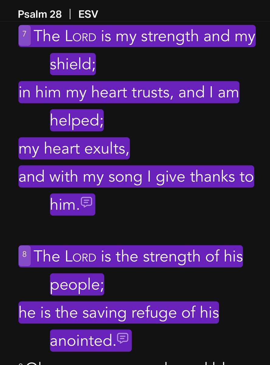 “The Lord is my strength and my shield; in him my heart trusts, and I am helped; my heart exults, and with my song I give thanks to him. The Lord is the strength of his people; he is the saving refuge of his anointed.” [Psalm 28:7-8]