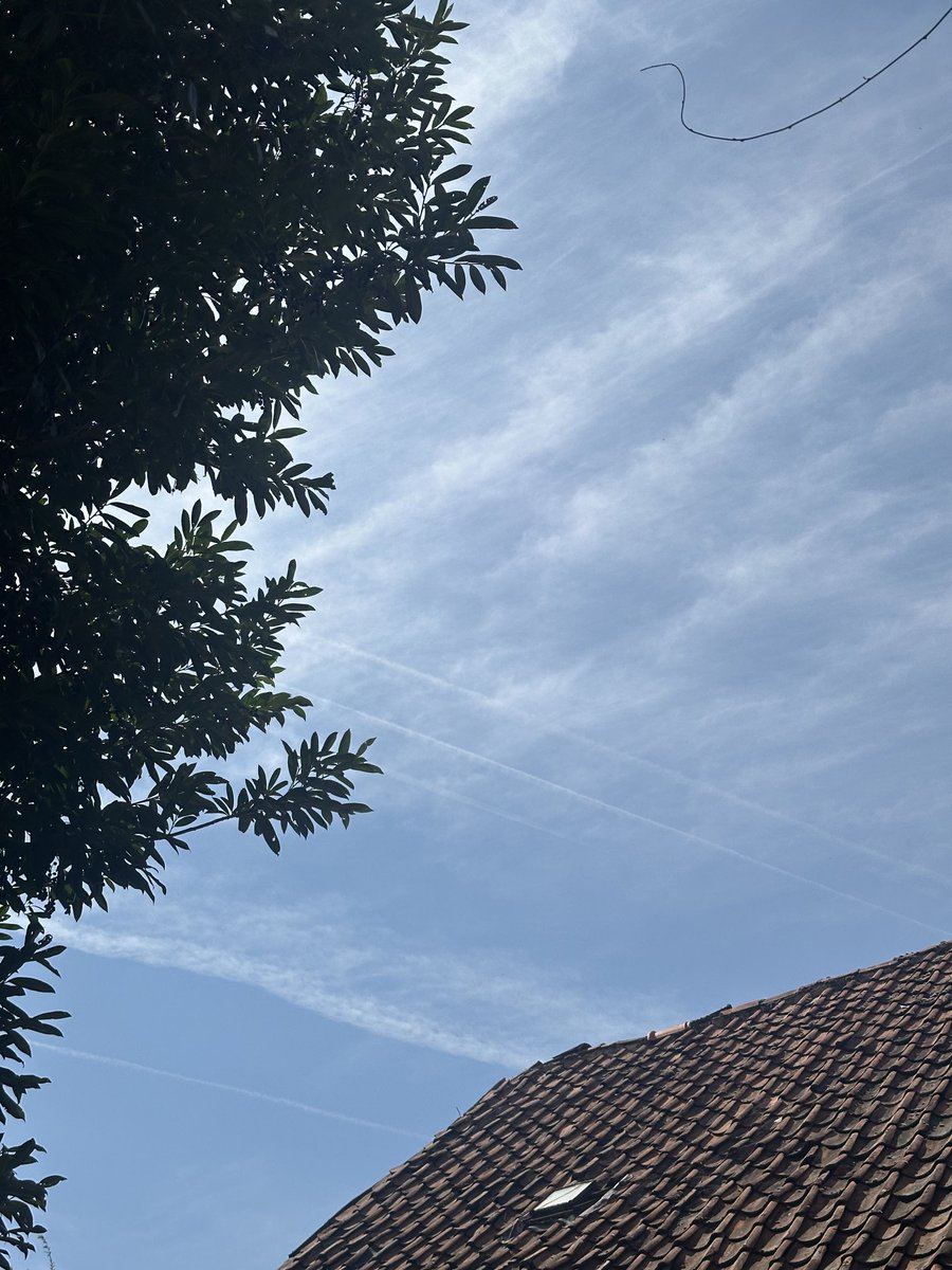 WAITorg's tweet image. Thou shalt not see the sun!
#WeatherModification  #Chemtrails #Spraying #Sunblocking 👇