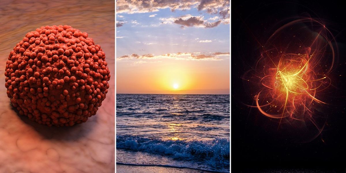Seventure Partners (@seventurep) on Twitter photo 🌊🦠Selon une nouvelle étude publiée dans <a href="/ScienceDaily/">ScienceDaily</a> une bactérie des profondeurs marines produit un sucre (EPS3.9) capable de tuer les cellules cancéreuses par pyroptose, stoppant les tumeurs et activant l’immunité 🦀 . ow.ly/ZUrn50WBgE1 🌊🦠Selon une nouvelle étude publiée dans <a href="/ScienceDaily/">ScienceDaily</a> une bactérie des profondeurs marines produit un sucre (EPS3.9) capable de tuer les cellules cancéreuses par pyroptose, stoppant les tumeurs et activant l’immunité 🦀 . ow.ly/ZUrn50WBgE1