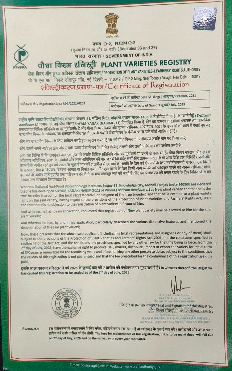 Dr. Monika Garg, Scientist, BRIC-NABI registers 2 biofortified colored wheat germplasms with PVPFRA:
🔹Shyam-Kanak (Black, REG/2021/0203)
🔹Neel Kanth (Blue, REG/2021/0204)
Rich in anthocyanins, these varieties offer antioxidant benefits for better health.
 <a href="/DBTIndia/">Department of Biotechnology</a>