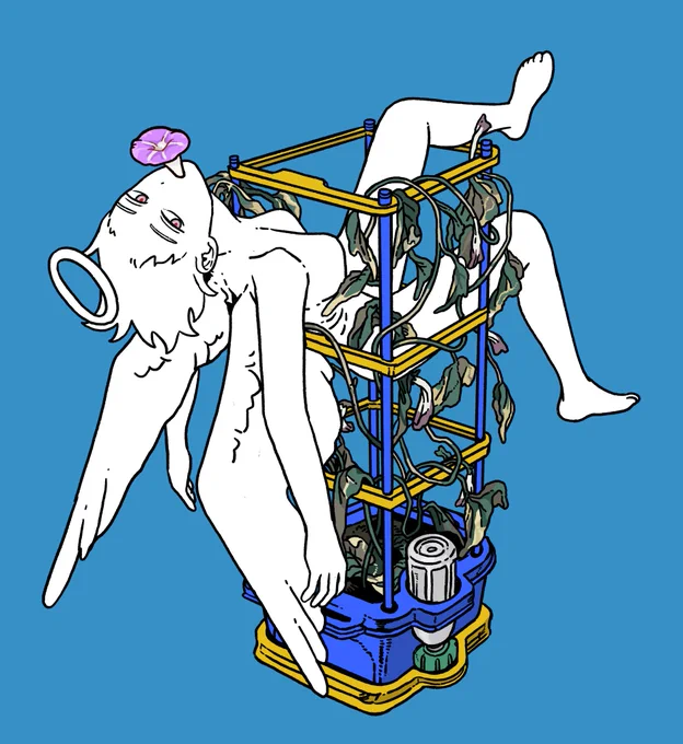 アサガオ