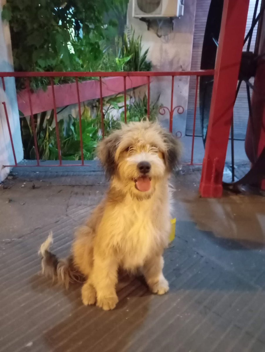 RT🙏🙏🙏🙏🙏