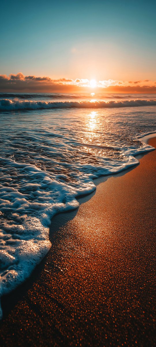 earthcurated's tweet image. ✨