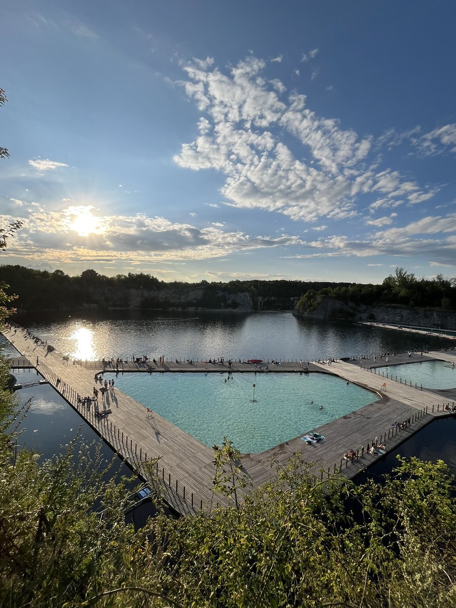 Sophie Herzog tweet media