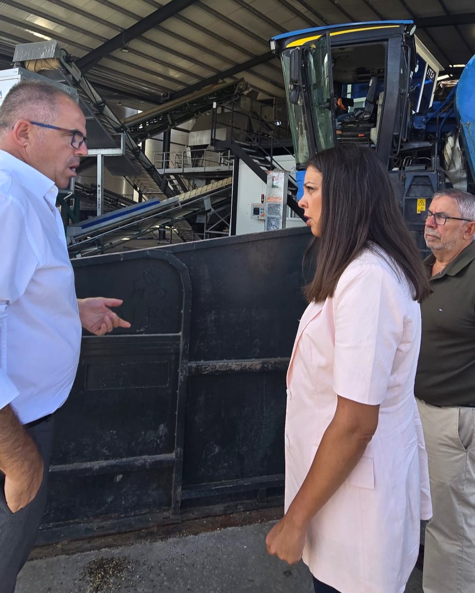 Economía, Empleo y Transformación Digital (@econoempleoext) on Twitter photo ‼️🚜 La dirª gral de Empresa, <a href="/celinapc_/">Celina Pérez Casado</a>, visita la cooperativa Ntra Sra de Perales, en Arroyo de San Serván.
🫒🍷 Fundada en 1979, se dedican al aceite, aceituna de mesa, vino, almendras y cereales.
👉 "Desde la <a href="/Junta_Ex/">Junta de Extremadura</a> seguiremos acompañándoles con incentivos autonómicos". ‼️🚜 La dirª gral de Empresa, <a href="/celinapc_/">Celina Pérez Casado</a>, visita la cooperativa Ntra Sra de Perales, en Arroyo de San Serván.
🫒🍷 Fundada en 1979, se dedican al aceite, aceituna de mesa, vino, almendras y cereales.
👉 "Desde la <a href="/Junta_Ex/">Junta de Extremadura</a> seguiremos acompañándoles con incentivos autonómicos".