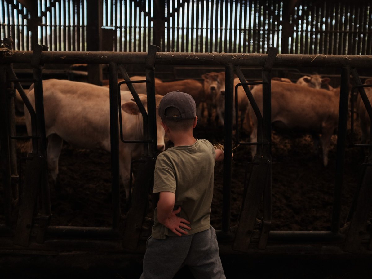 Il y a quelques semaines, Françoise, Luc et Fabien du GAEC du Fresne (61) ont accueilli deux classes de l'école de l'Aigle, à 15 km de l'exploitation. Les CM et les CP ont découvert leur élevage #BleuBlancCoeur avec la visite de ferme, au milieu des blondes d'Aquitaine 😊