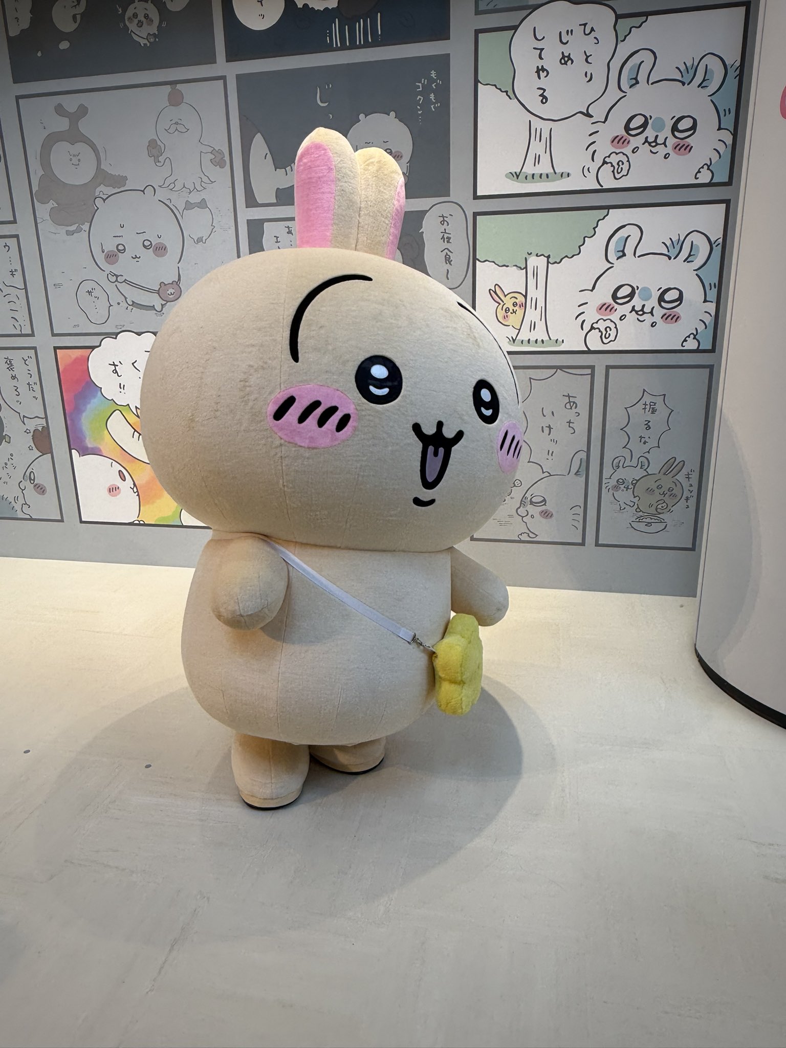 ちいちゃん様オーダーページ ちいちゃん様オーダーページ