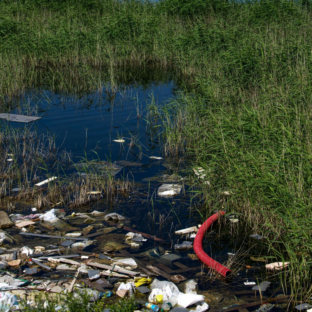 How far can bacteria travel on microplastics? 🧫

Salty seawater helps block river-borne pathogens travelling on plastic waste. 

Find out more about this small but crucial barrier for safer seas. ⬇️

environment.ec.europa.eu/news/water-sal…

#SfEP #PlasticPollution #Microplastics