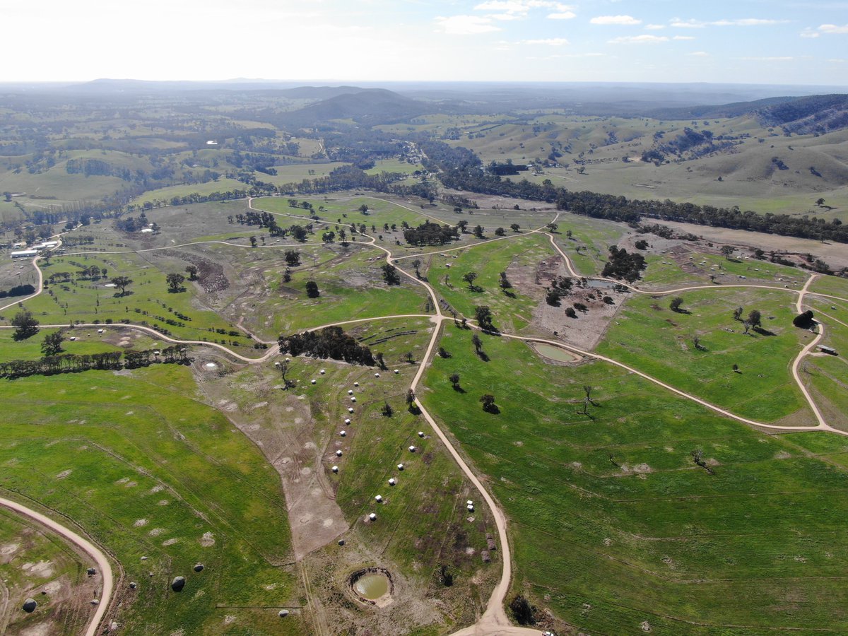 Regrarians® tweet media