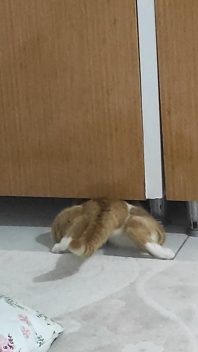 Abla bi el atsana yav sıkıştım