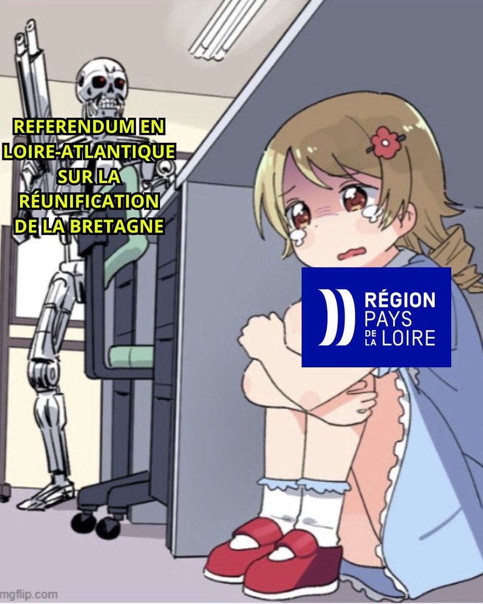 Qui a peur du référendum ?
#NANTES #BRETAGNE #44BZH