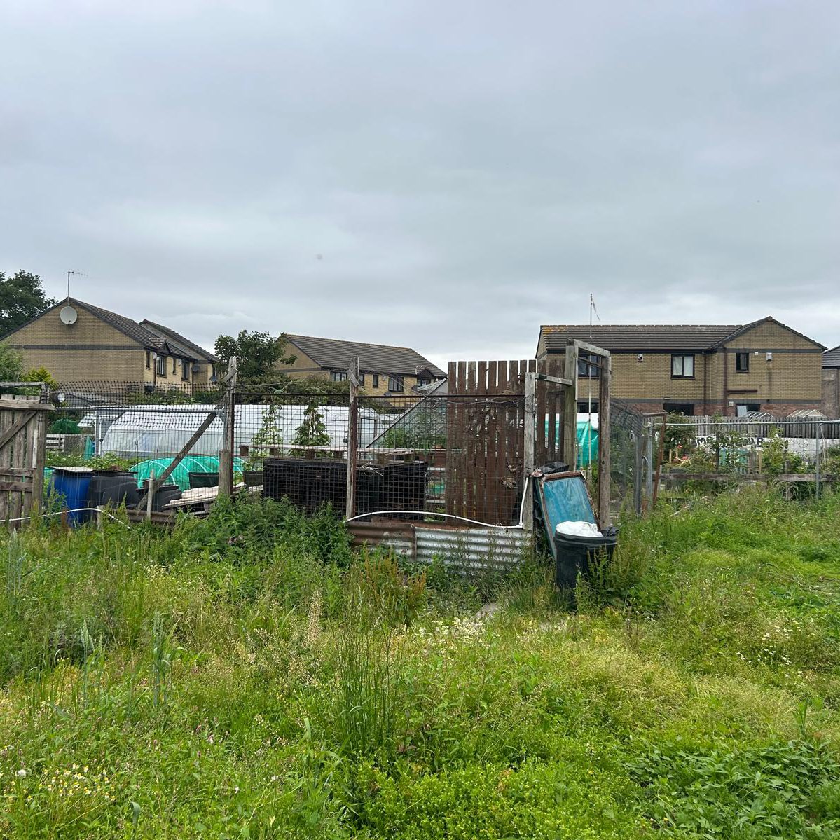 Morecambe FC Community Foundation (@morecambefccf) on Twitter photo We need you for the next step of our Veterans Allotment 🪻
🗓 Friday 15 & Saturday 16 August
🚚 We’re expecting 10 tonnes of MOT Type 1
⏰ Even an hour or two would make a huge difference!
Get in contact - veterans@morecambefccf.com
#UTS 🦐 | <a href="/VeteransFdn/">Veterans’ Foundation</a> | <a href="/LancsCovenant/">Lancashire Armed Forces Covenant Hub</a> We need you for the next step of our Veterans Allotment 🪻
🗓 Friday 15 & Saturday 16 August
🚚 We’re expecting 10 tonnes of MOT Type 1
⏰ Even an hour or two would make a huge difference!
Get in contact - veterans@morecambefccf.com
#UTS 🦐 | <a href="/VeteransFdn/">Veterans’ Foundation</a> | <a href="/LancsCovenant/">Lancashire Armed Forces Covenant Hub</a>