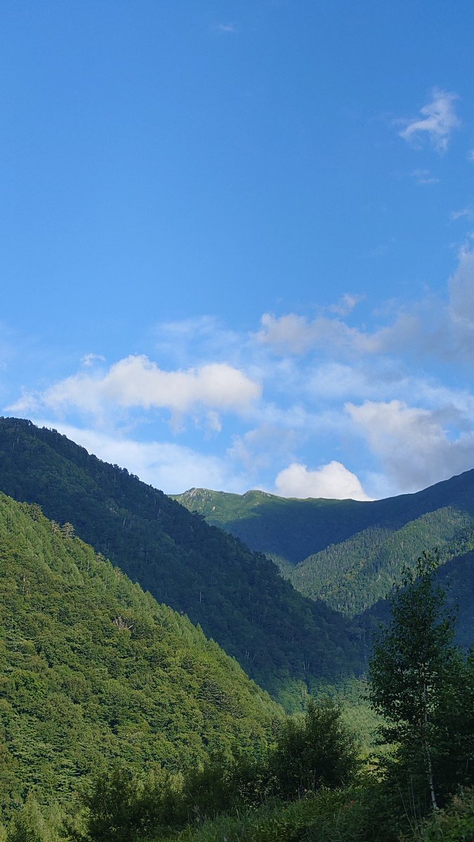 これで無料キャンプ場なんてー🏕
ありがた山です(ㅅˊᵕˋ*)🏔️🏔️

使い方間違ってる?¿? ( ･ิω･ิ) ?¿?

#大河べらぼう
#木曽駒ケ岳 #コガラ登山口
#木曽駒冷水公園