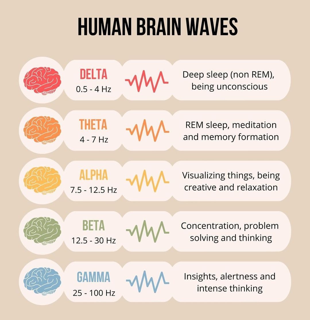 🧠 Human brain waves 👋